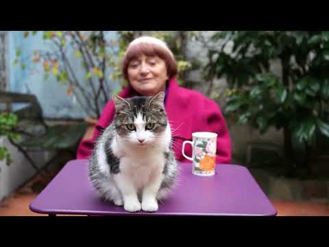 Norton Lectures 2018 | Agnès Varda: Crossing the Border