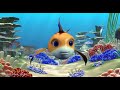 The Reef Theme Song