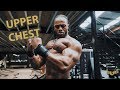 ULISSES TRAINS UPPER CHEST