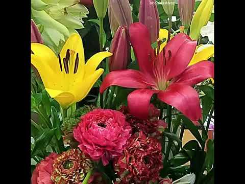 O amor de Deus, revelado pela natureza.