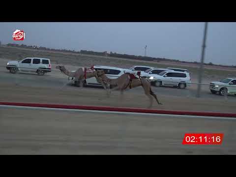  ش 1 (خيره) لـ سلطان احمد بن محمد غدير المزروعي 4:35 ، مهرجان العين 2026/08/04 لقايا سويحان