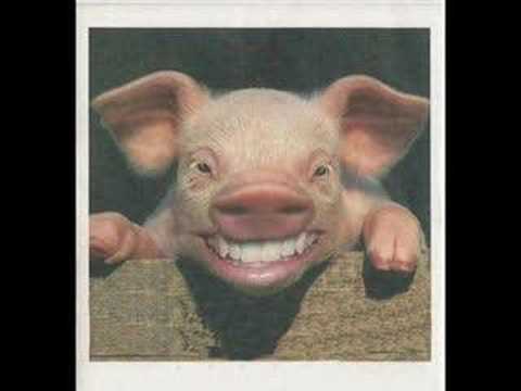 jeden...XD dva...XD tri....XD