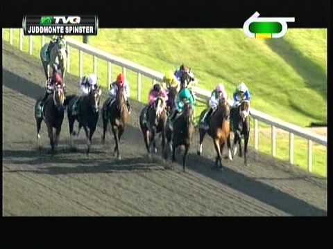 2012 Spinster Stakes - In Lingerie