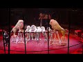 Big Cat Show 2020