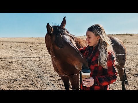 Колорадская жизнь  | О работе  | Необычная поездка в Мейн | Первые швы