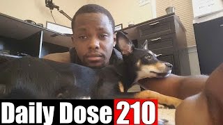 PINKY AND THE BRAIN  + ARMPIT LICKS! - #DailyDose Ep.210 | #G1GB