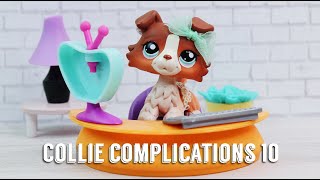 COLLIE COMPLICATIONS 10: I STILL LOVE YOU