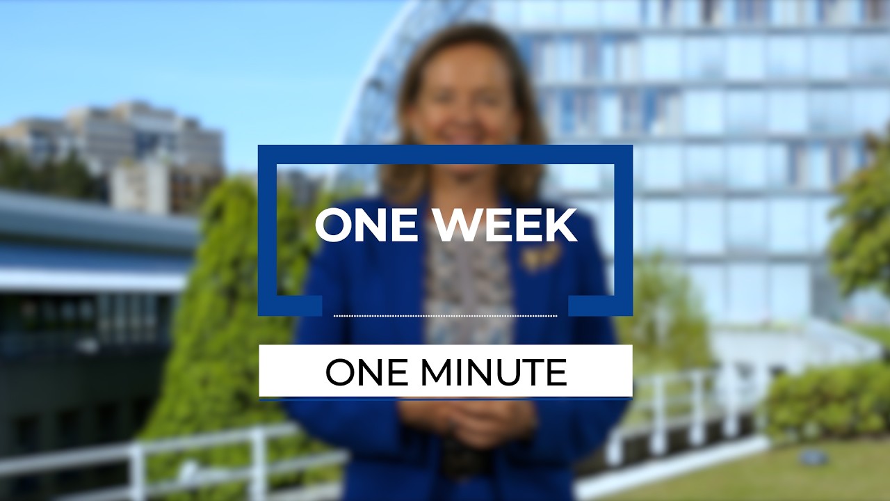 One Week, One Minute: Supporting Egypt's clean energy transition