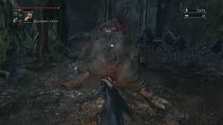 Bloodborne : The Forbidden Woods