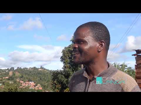 DANGA LANGA  ON NOMINATIONS   6TH FEB 2019