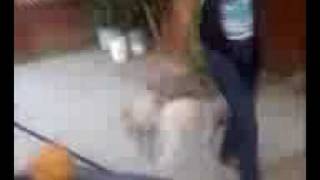 michelle getting fcked