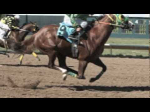 EL TAPETE Y LA RUBI - GRUPO LABERINTO