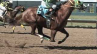 EL TAPETE Y LA RUBI - GRUPO LABERINTO