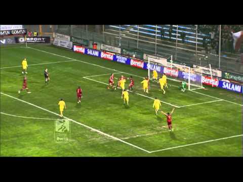 Reggina-Hellas Verona 1-1, 24a giornata Serie bwin