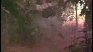 LONDON "Nothing Happens"