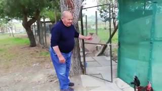 https://www.youtube.com/embed/Vg1BtWsbvuU