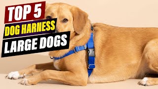 Top 5 Best Dog Harnesses for Large Dogs in 2026 – Comfortabl