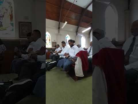 Himi 573 - Fofo’anga Saute Auckland