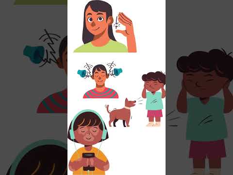 5 Senses of the Human Body || Sense organs of Human Body || @learnwithfun1746