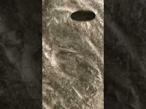 Coin infinite Loop - #coin #money #loop #infinite #transition #relax #satisfying #discover #macro