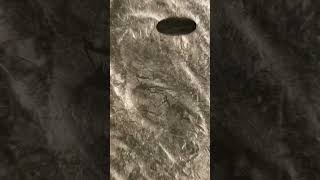 Coin infinite Loop - #coin #money #loop #infinite #transition #relax #satisfying #discover #macro