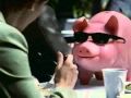Roving Piggy Spreads His Wisdom