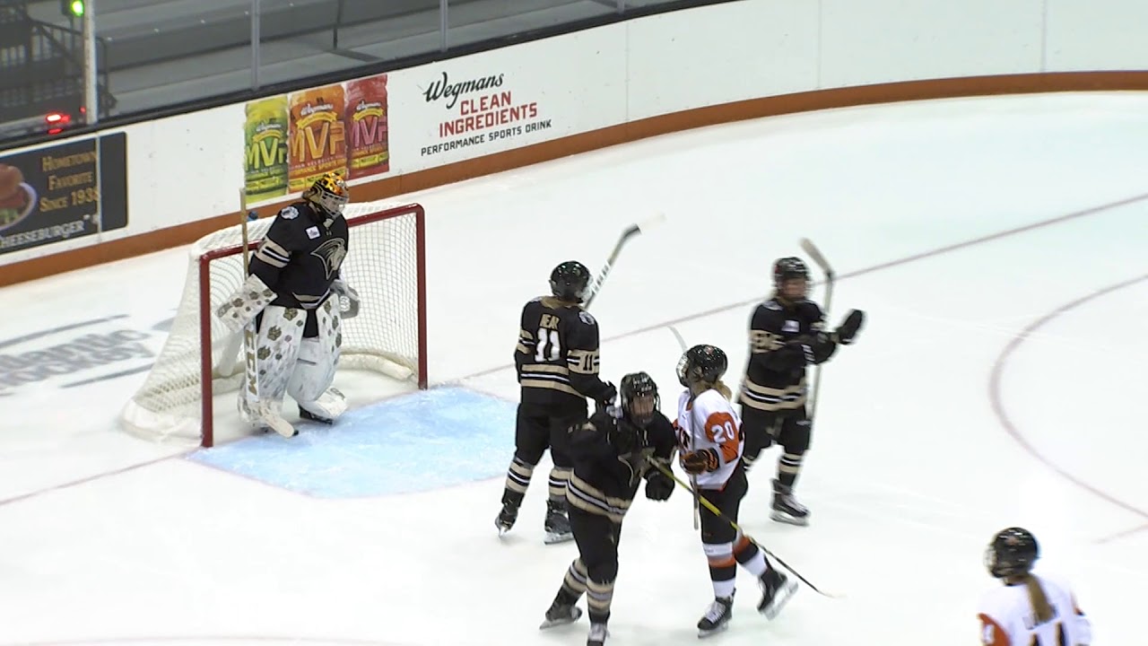 RIT Athletics Women's Hockey Rochester Institute of Technology