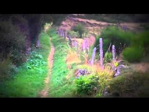 Cazare Baile Olanesti - Cazat.ro