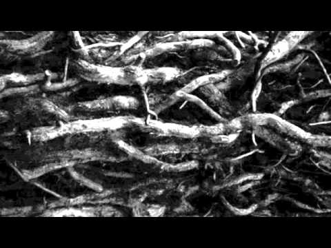 JULIO SEAN FER C PURA