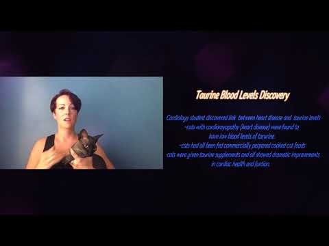 TAURINE why your cat NEEDS it!!!