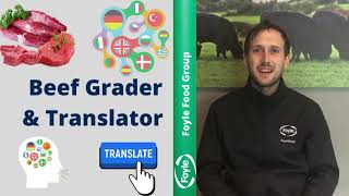 World of Work - Foyle Food Group