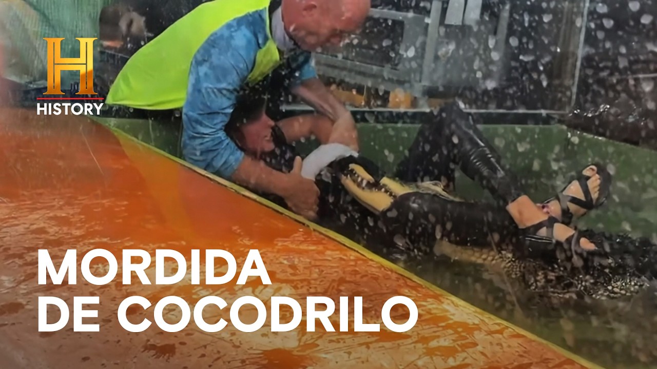 Cocodrilo Ataca a Cuidadora - CASOS INSÓLITOS DE LA HISTORIA
