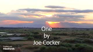 Joe Cocker - One
