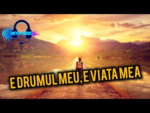 Deyu Music - It's my path, it's my life (Cover Cornel Palade 2025)
