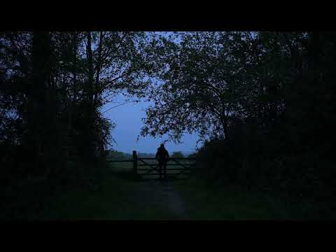 UK Dawn Chorus - Birdsong
