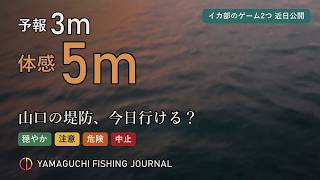 予報3m、体感5m。山口の堤防「今日行ける？」が毎朝わかるサイトを作りました