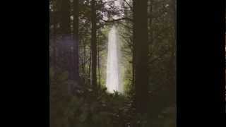 Teen Daze - Divided Loyalties