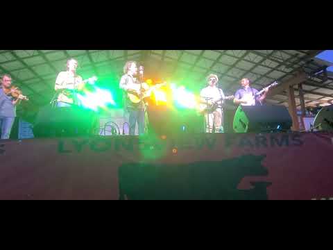 Love Me Darlin Just Tonight  / The Dan Tyminski Band 