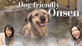 Taking Our Dog on a Hakone Hot-Spring Getaway!