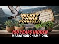 This Formula Made Ordinary Pigeons Into 650 Mile Champions