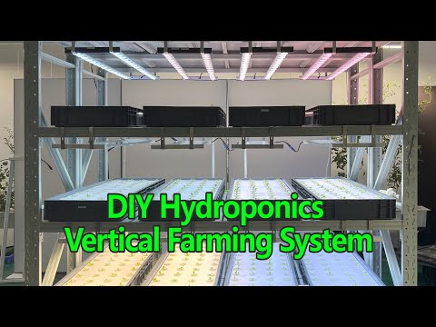 How To Make Your Own DIY hydroponic System AT Home