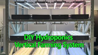 How To Make Your Own DIY hydroponic System AT Home