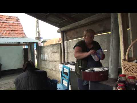 Omul și natura în Defileul Crișului Negru