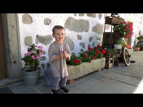 Hermann Pammer - Die Sterne am Himmel