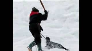 john denver you say that the battle is over