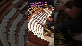 Download lagu Largest Organ in Europe #shorts mp3