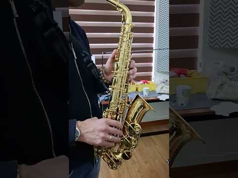 NO TARIFFS - Yanagisawa A-991 Alto Saxophone image 24