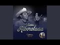 Vestida Y Alborotada