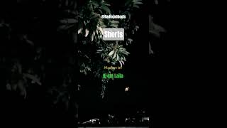 Download lagu Maafkan lah - Hj Ida Laila #shorts #storywa #lagu #dangdut #lawas @Radiojaddoels mp3 Download lagu Maafkan lah - Hj Ida Laila #shorts #storywa #lagu #dangdut #lawas @Radiojaddoels mp3