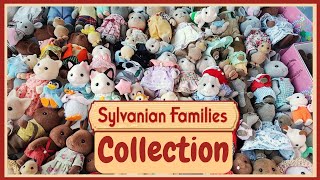 Sylvanian Families Collection 2023 - Calico Critters